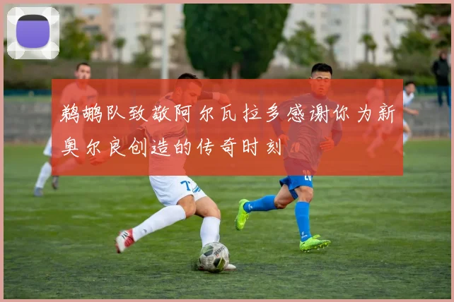 鹈鹕队致敬阿尔瓦拉多感谢你为新奥尔良创造的传奇时刻