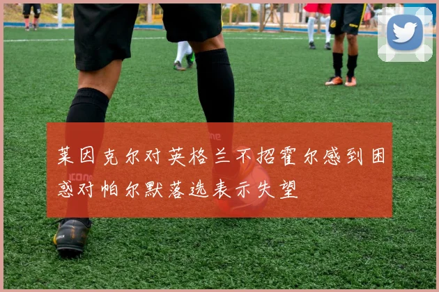 莱因克尔对英格兰不招霍尔感到困惑对帕尔默落选表示失望